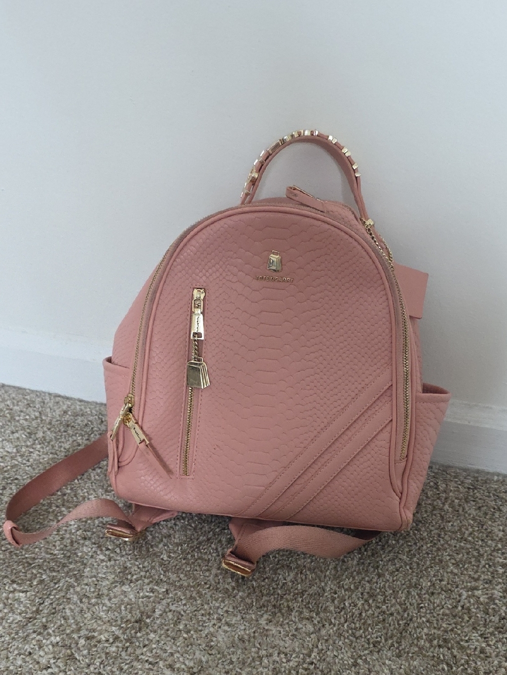 Blush Pink Textured Backpack with Gold Accents